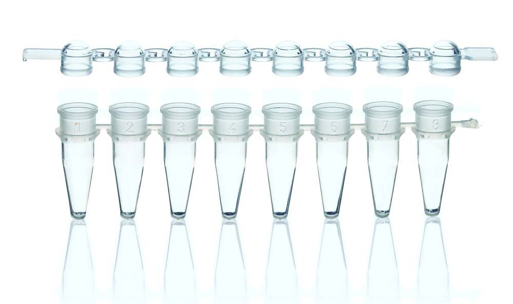 Biotechnology