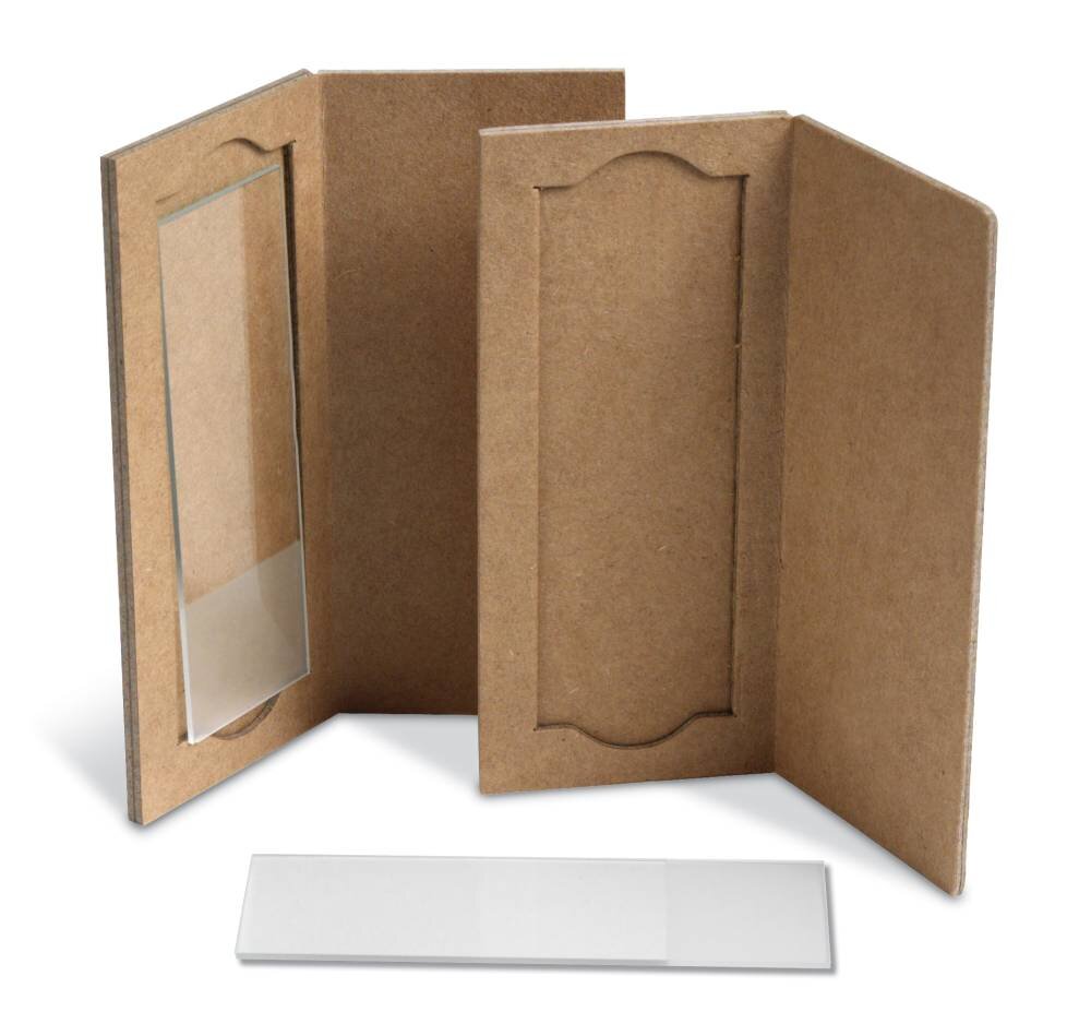 Organization Systems