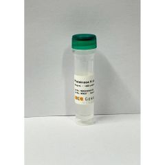 Proteinase K Enzym für den kompletten Verdau von Proteinen in Nukleinsäureproben